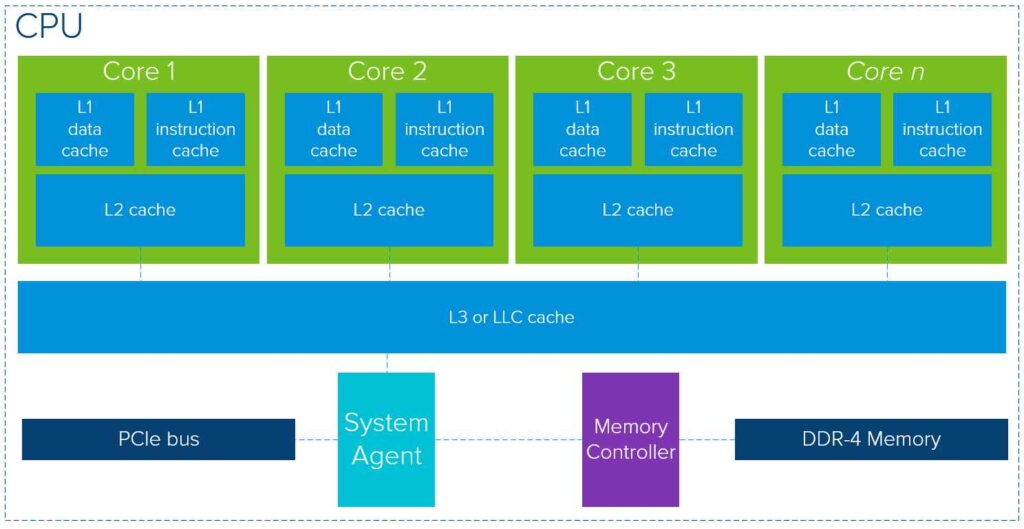  GPU Model and Architecture